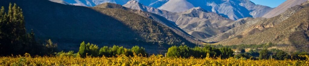Full-Day Elqui Valley Experience