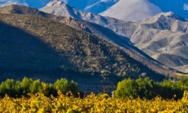 Full-Day Elqui Valley Experience