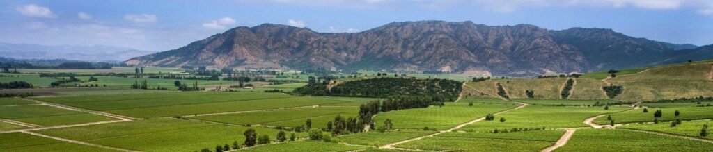 San Antonio Shore Excursions – Valparaiso, Casa Blanca valley, from / to Santiago “9 hs” ( Private tour for cruises )