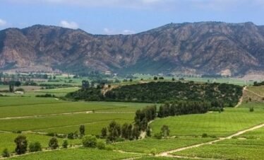 San Antonio Shore Excursions – Valparaiso, Casa Blanca valley, from / to Santiago “9 hs” ( Private tour for cruises )