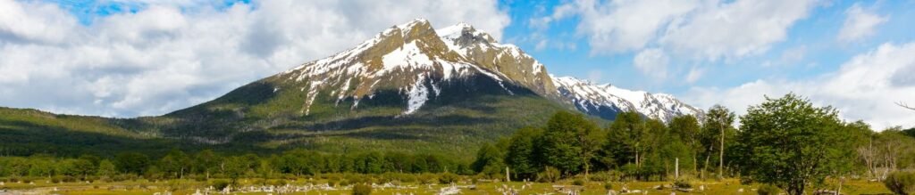 5.5-Hour National park w/ hiking Shore excursion – USHUAIA (Private Tour)