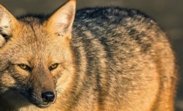 NATIONAL PARK ( 4 hours ) Private Tour